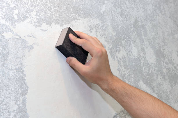 Best Biohazard Mold Removal  in Itasca, IL