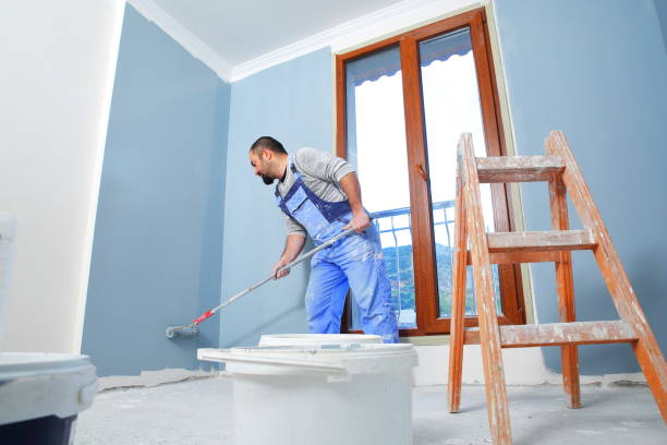 Best Mold Remediation for Vacation Homes  in Itasca, IL