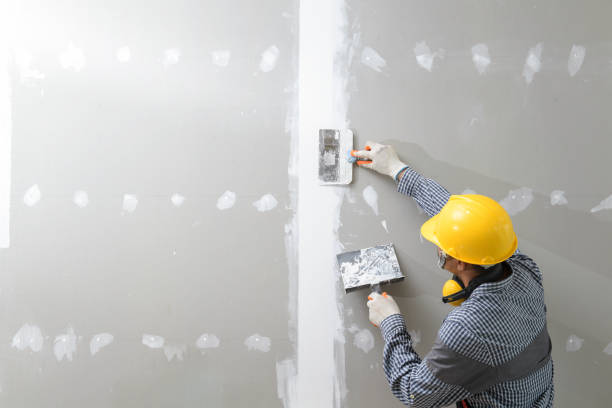 Best Water Damage & Mold Remediation  in Itasca, IL