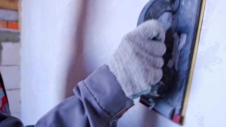 Best Mold Damage Restoration  in Itasca, IL