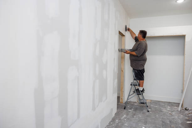 Best Basement Mold Removal  in Itasca, IL