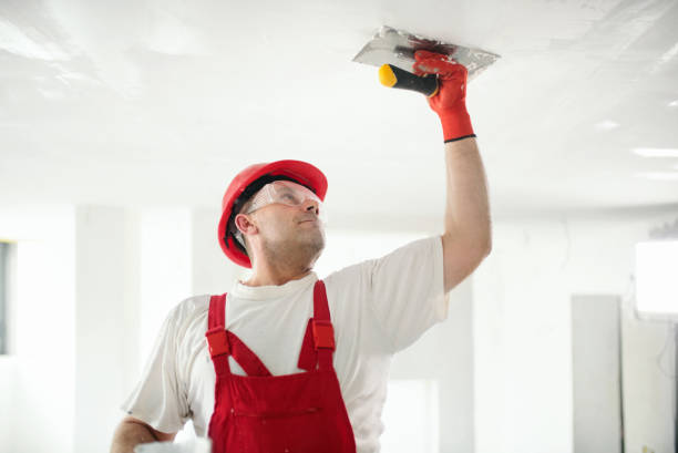 Best Attic Mold Removal  in Itasca, IL
