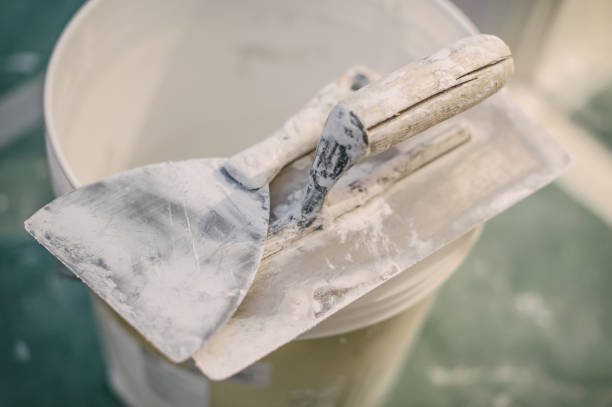 Best Black Mold Removal  in Itasca, IL