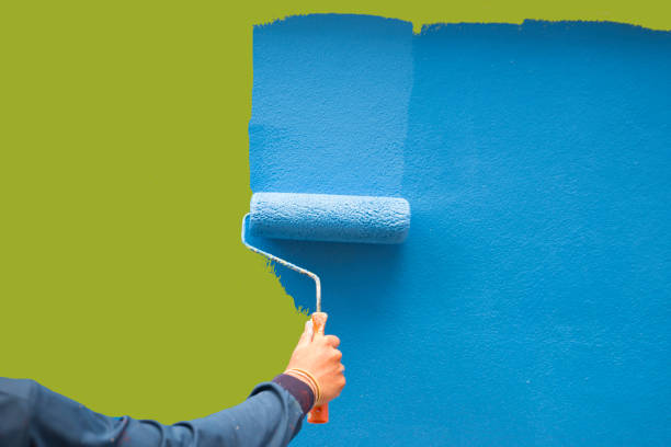 Itasca, IL Mold Removal Company