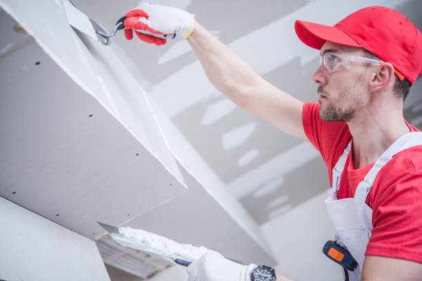 Best Comprehensive Air Testing for Mold Contaminants  in Itasca, IL