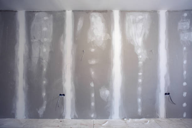 Best Mold Odor Removal Services  in Itasca, IL